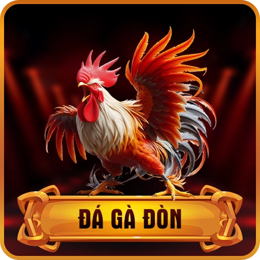 đá gà đòn